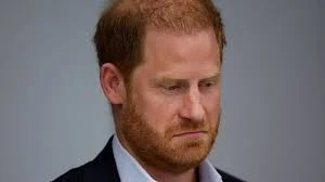 prince harry biography